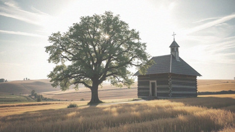 Dlaczego przebaczenie sprawcy przekleństwa jest ważne?