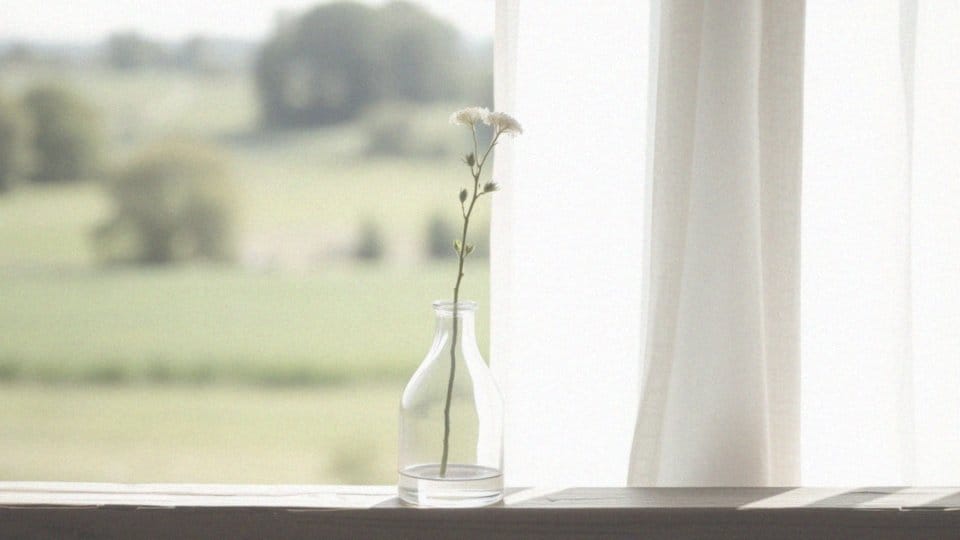 Jakie są cechy rzeczownika