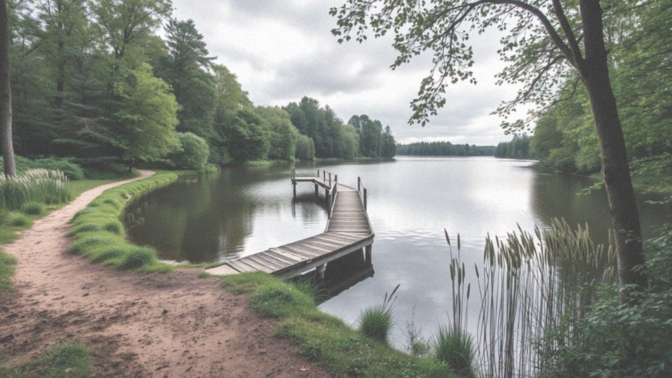 Co oferuje Jezioro Czarne dla odwiedzających?