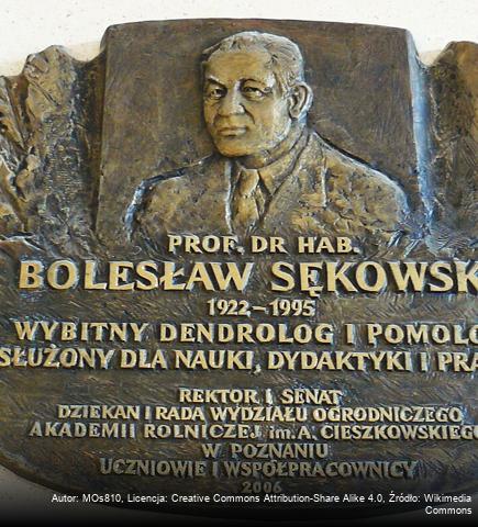 Bolesław Sękowski