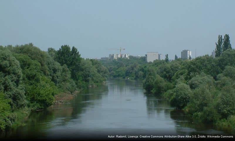 Dębina (Poznań)