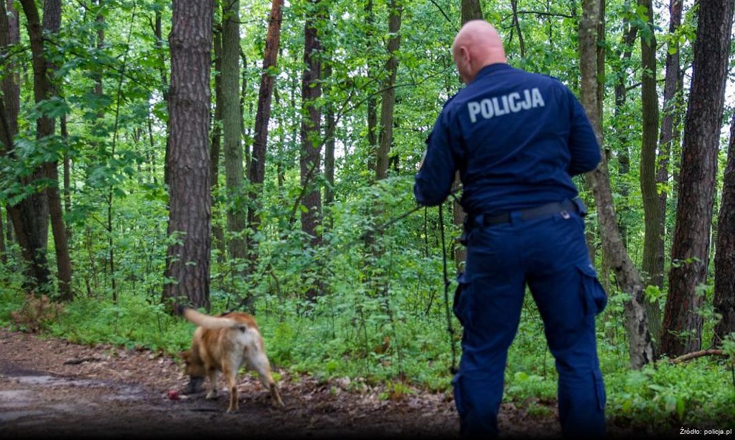 Nowe oddziały mundurowe w szkołach ponadpodstawowych w Poznaniu