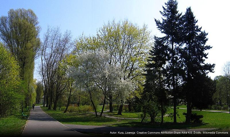 Park Adama Wodziczki w Poznaniu