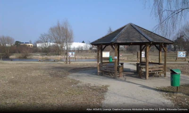 Park Edukacji Ekologicznej Strzeszyn