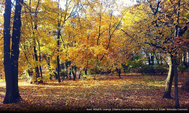 Park Górczyński w Poznaniu