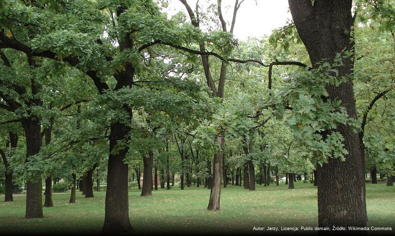 Park Manitiusa w Poznaniu