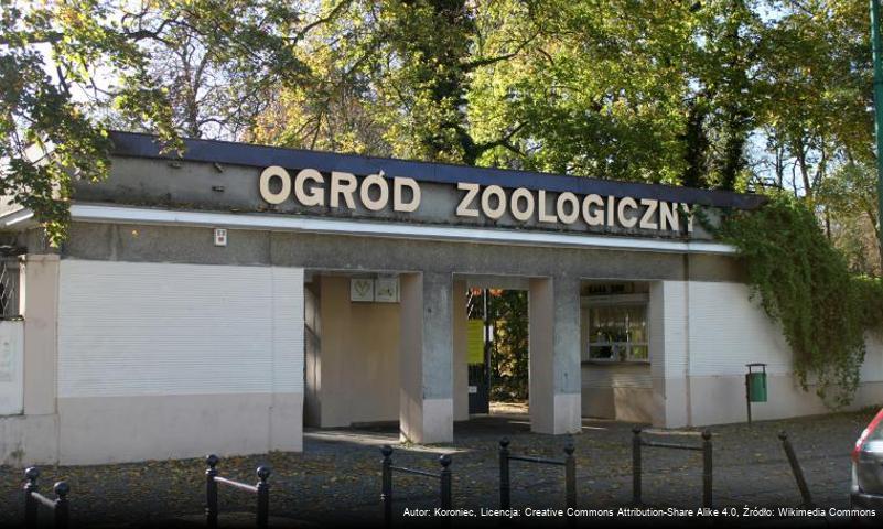 Stare Zoo w Poznaniu