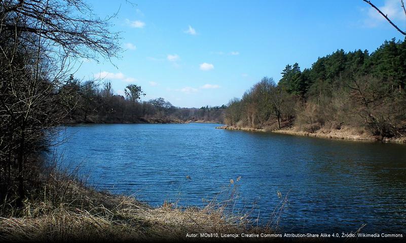 Staw Browarny (Poznań)