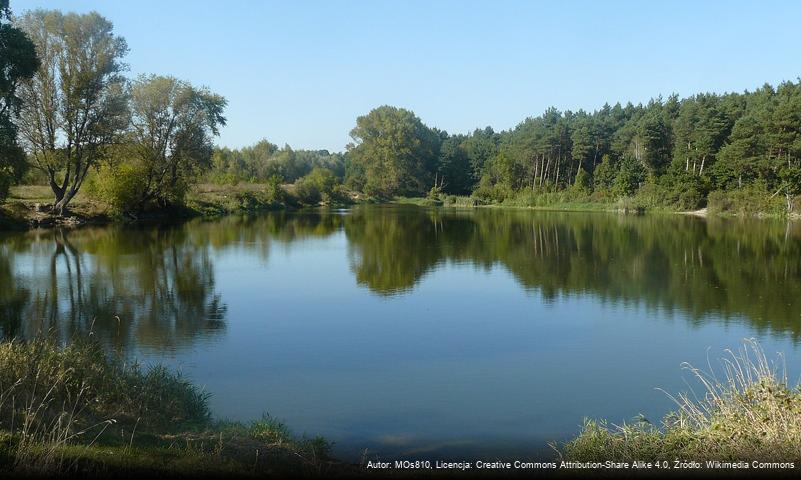 Staw Młyński (Naramowice)