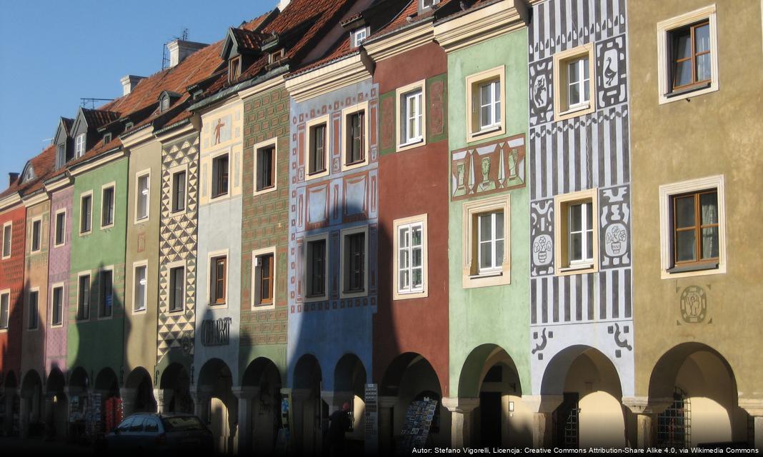 Koty ze schroniska w Poznaniu czekają na nowe domy