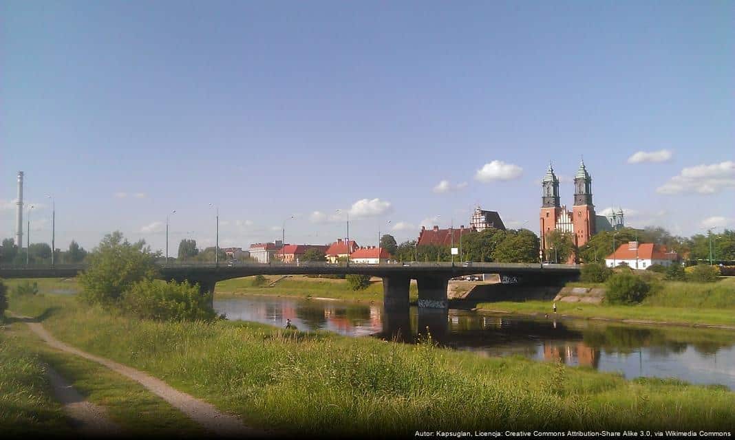 W Krzyżownikach powstał nowy las – zrealizowano zalesienie na kilkunastu hektarach