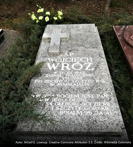 Wojciech Wróż